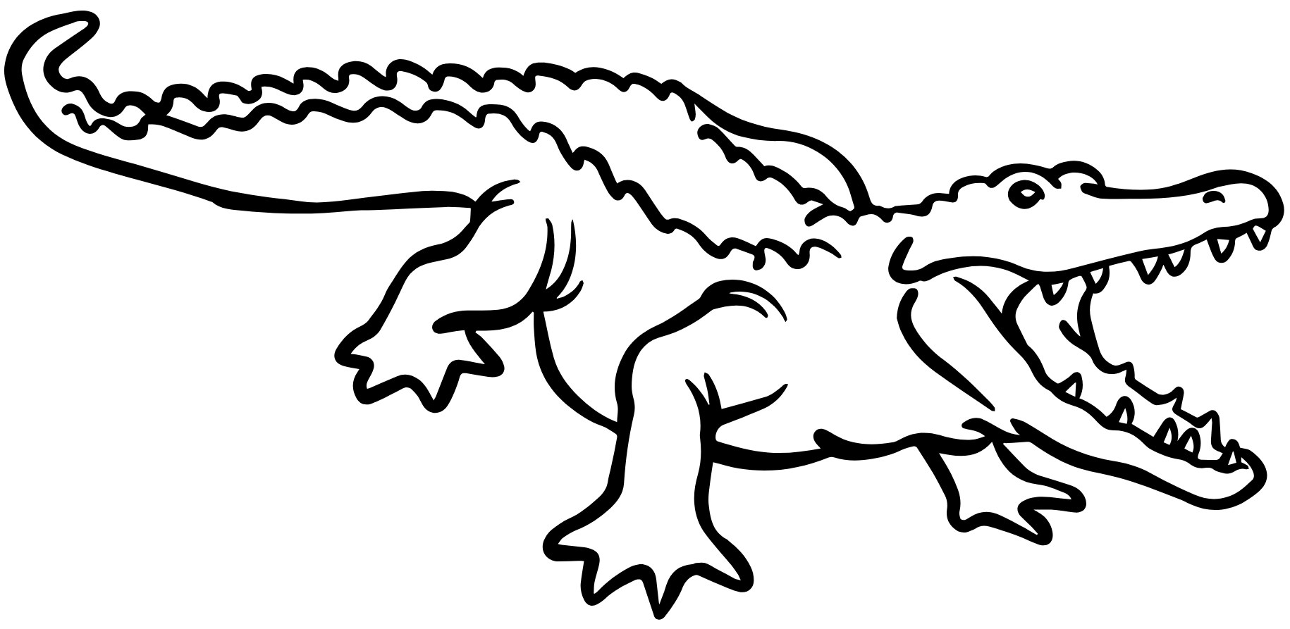 Sortie airboat aux everglades